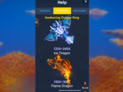 Dragon Fortune