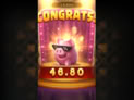 3 Lucky Piggy