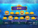 Pearls of Bingo