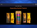 3 Coin Wild Tiger