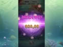 Mermaid's Treasure