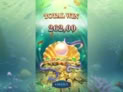 Mermaid's Treasure