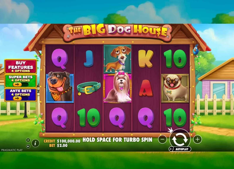 The Big Dog House game - play for free