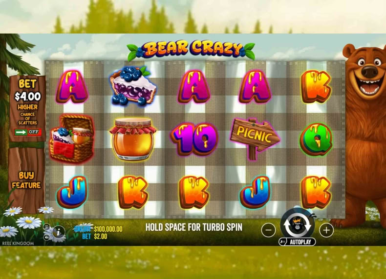 Bear Crazy game - play for free