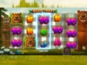 Bear Crazy