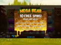 Bear Crazy