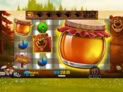 Bear Crazy
