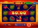 Sunny Fruits: Hold and Win
