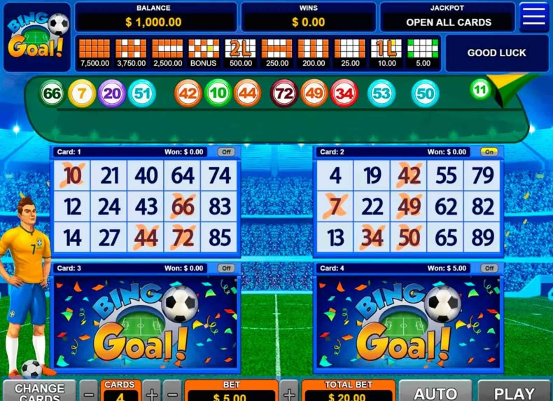 Bingo Goal game - play for free