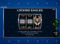 Wild Lines American Eagle