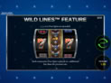 Wild Lines American Eagle