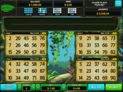 Amazonia Bingo