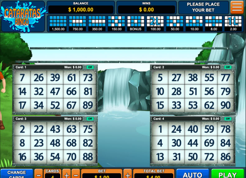 Cataratas Bingo game - play for free