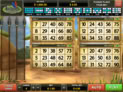 Tribo Bingo