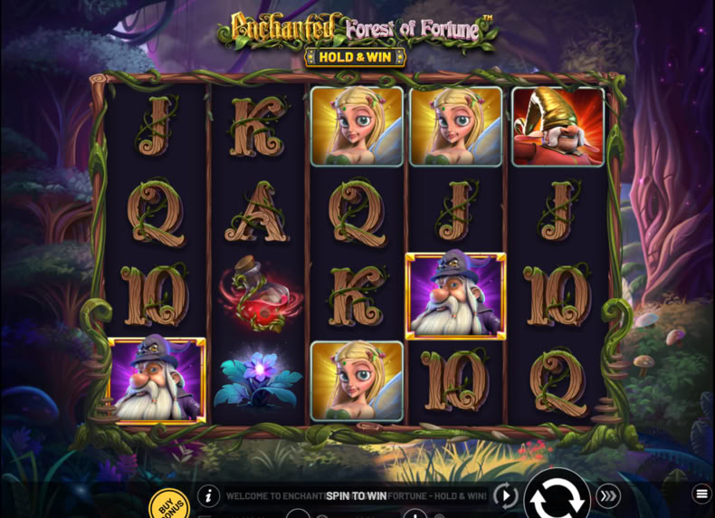 Enchanted: Forest of Fortune game - play for free