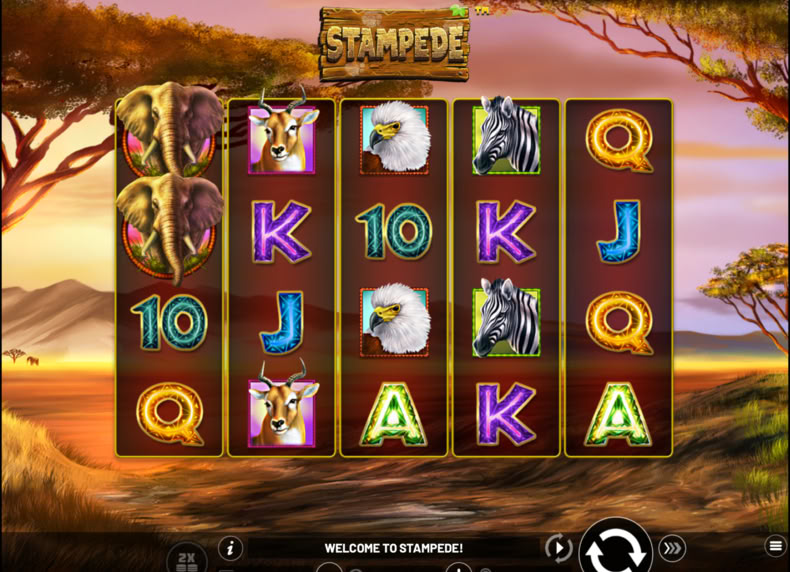 Stampede game - play for free
