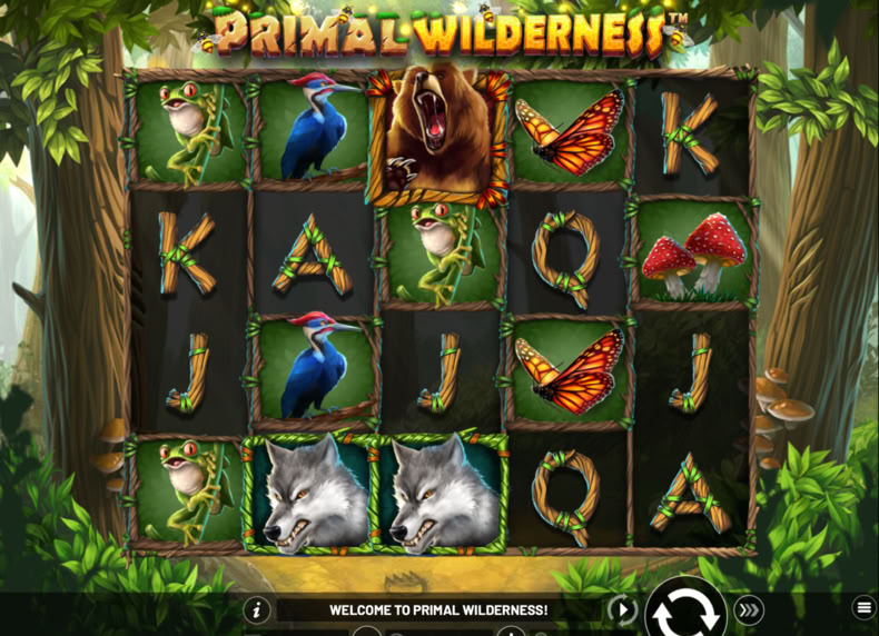 Primal Wilderness game - play for free