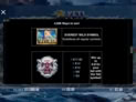 9k Yeti