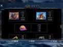 9k Yeti