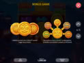 Lion Coins