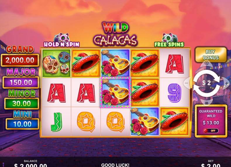 Wild Calacas game - play for free