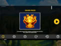 Gallina Race