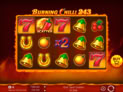 Burning Chilli 243