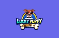 Online Casino luckypuppybingo.com