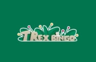 Casino en ligne T-Rex Bingo
