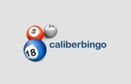 Онлайн-казино nl.caliberbingo.com
