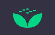 Online Casino MintDice