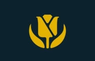 Онлайн-казино tulipbet435.com