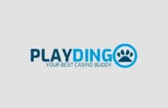 Casinò online PlayDingo
