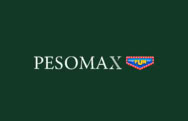 Online Casino pesomaxfun