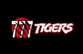 Отзывы и рейтинг казино 777Tigers