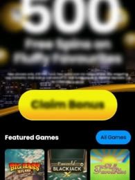 Swanky Bingo