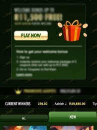 Springbok Casino