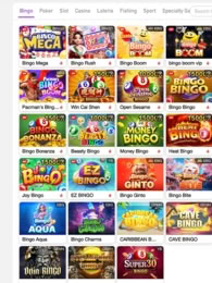 BingoPlus