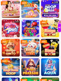 BingoPlus