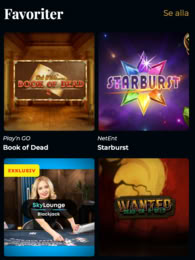 Premier Live Casino