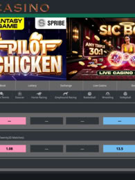 Crash Sports Book Lottery Exchange Live Casino Slot Fantasy Games