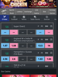 Crash Sports Book Lottery Exchange Live Casino Slot Fantasy Games