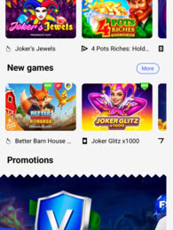 Viks Casino