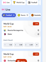 Viks Casino