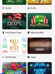 Viks Casino