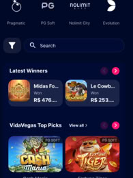 VidaVegas