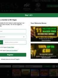 Mr Vegas